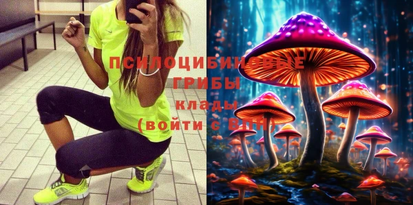 прущие грибы Бронницы