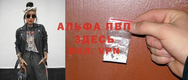 ешки Бородино