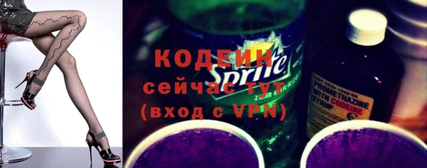 ешки Бородино