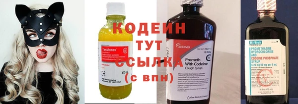 хмурый Богородицк