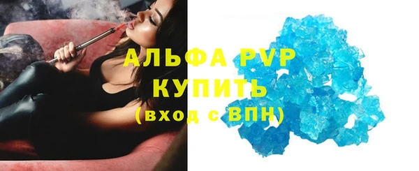 прущие грибы Бронницы
