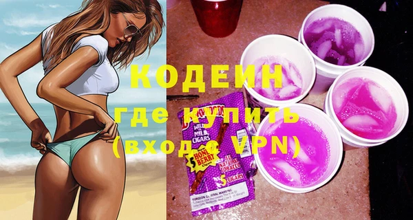 хмурый Богородицк