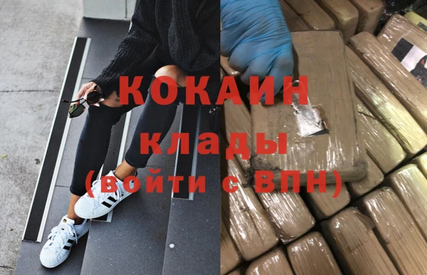 твердый Богданович