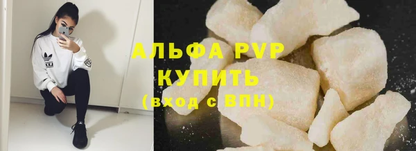 ешки Бородино