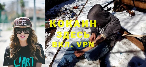 твердый Богданович