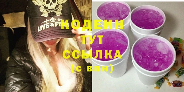 хмурый Богородицк