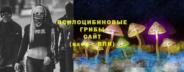 прущие грибы Бронницы