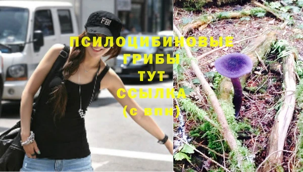 хмурый Богородицк