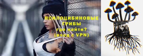ешки Бородино