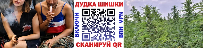 МАРИХУАНА ГИДРОПОН  Кодинск 